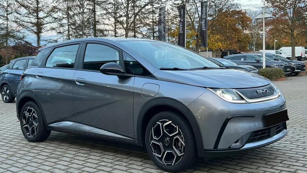 BYD DOLF, BRAND NEW--4