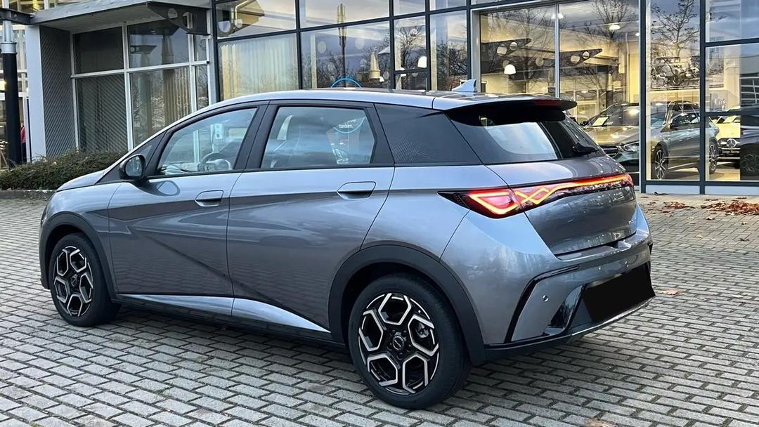 BYD DOLF, BRAND NEW--0