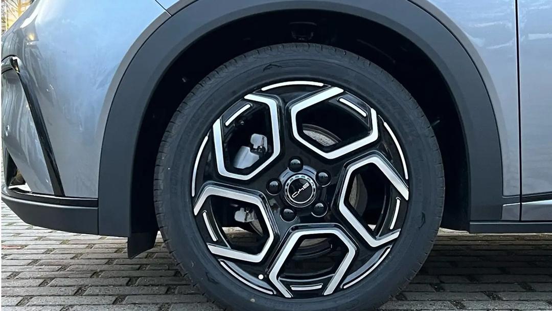 BYD DOLF, BRAND NEW--1