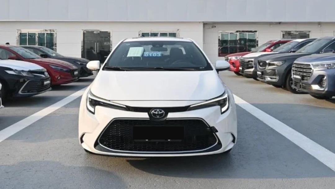 TOYOTA LEVIN, BRAND NEW--10